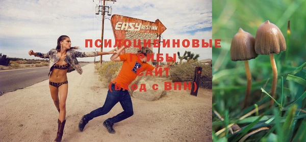 дживик Абинск