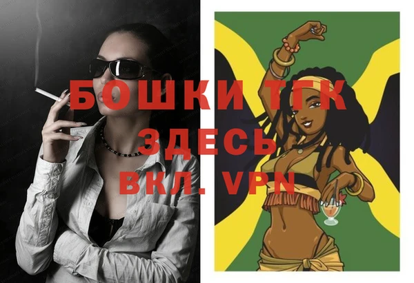 дживик Абинск