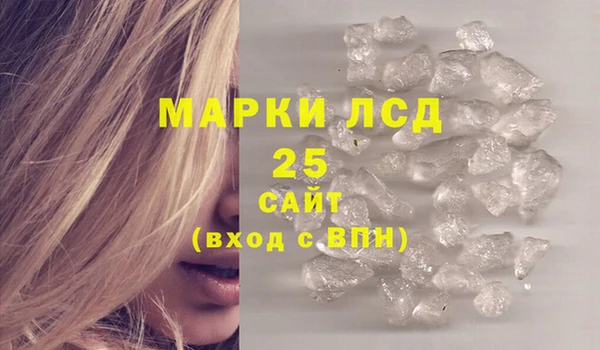 ГАЛЛЮЦИНОГЕННЫЕ ГРИБЫ Алексин