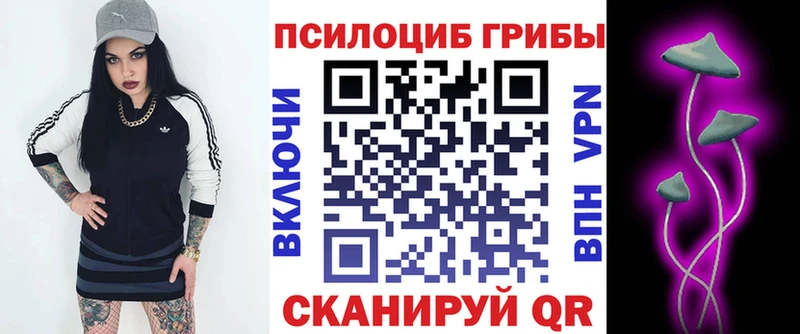 Псилоцибиновые грибы GOLDEN TEACHER  даркнет сайт  Ессентукская 